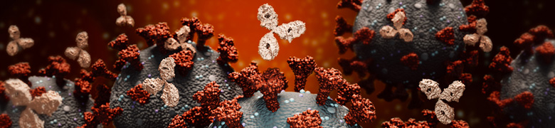 Glycosylation in monoclonal antibody treatments for COVID-19